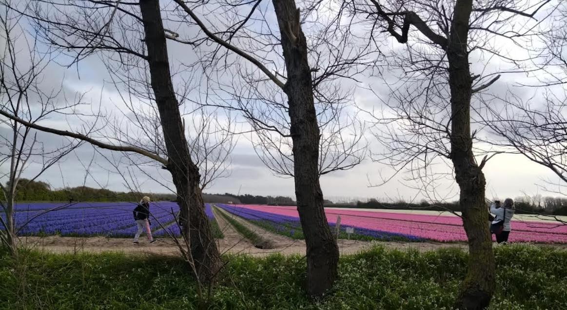 Penmarcʼh Trouz Ar Morヴィラ エクステリア 写真
