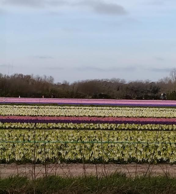 Penmarcʼh Trouz Ar Morヴィラ エクステリア 写真