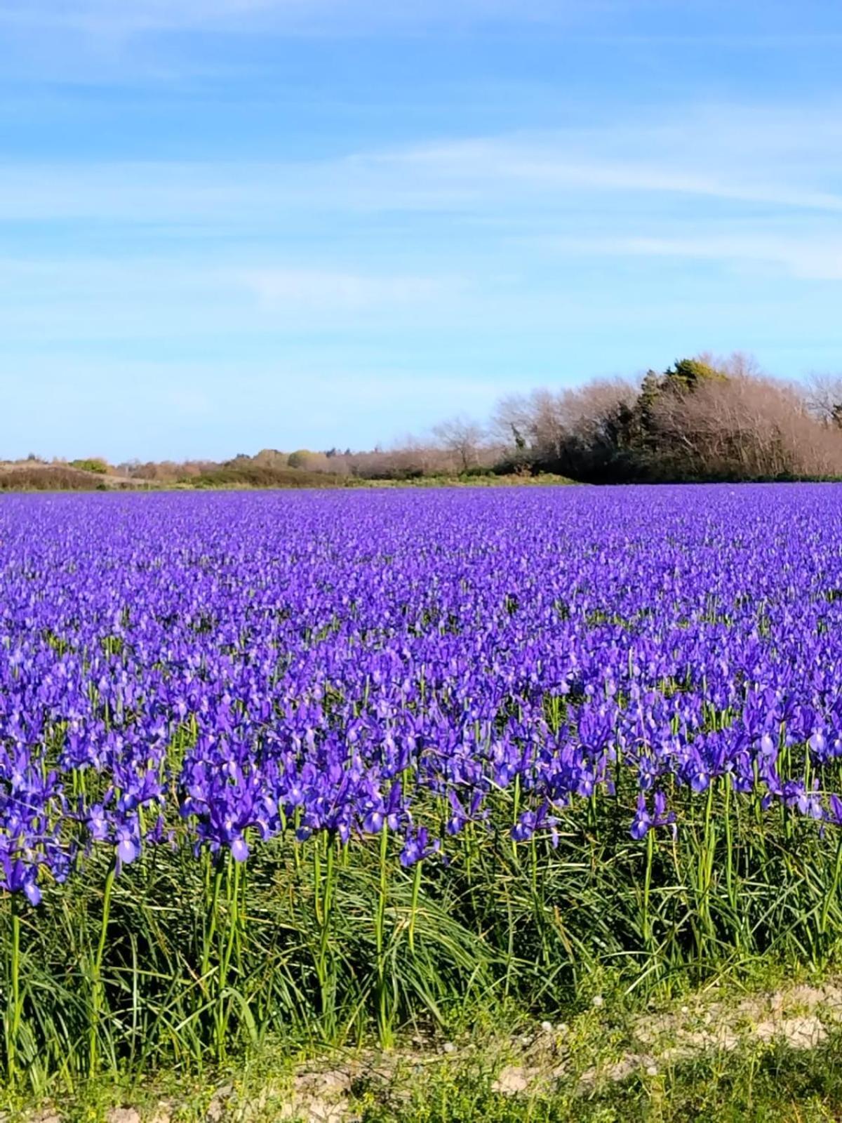 Penmarcʼh Trouz Ar Morヴィラ エクステリア 写真